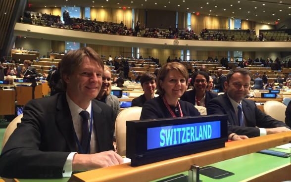 La delegazione svizzera sostiene temi come la lotta alla violenza contro le donne, la promozione della parità salariale e la garanzia del finanziamento dell’uguaglianza di genere.