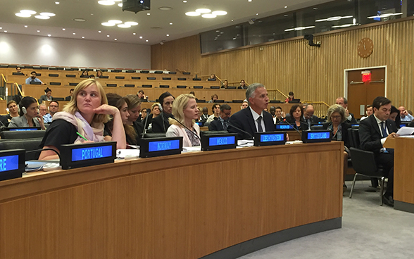 The abolition of the death penalty and strengthening the human rights pillar at the United Nations were the key issues raised by Federal Councillor Didier Burkhalter.