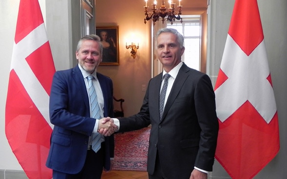 The head of the FDFA, Didier Burkhalter, discusses with the Danish foreign minister, Anders Samuelsen, specific possibilities for strengthening cooperation between their countries