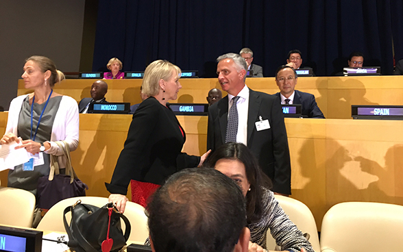 Bundesrat Didier Burkhalter begrüsst die schwedische Aussenministerin Margot Wallström.