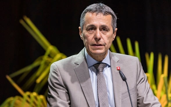 Federal Councillor Ignazio Cassis stands at a lectern and speaks. In the background is a palm tree.