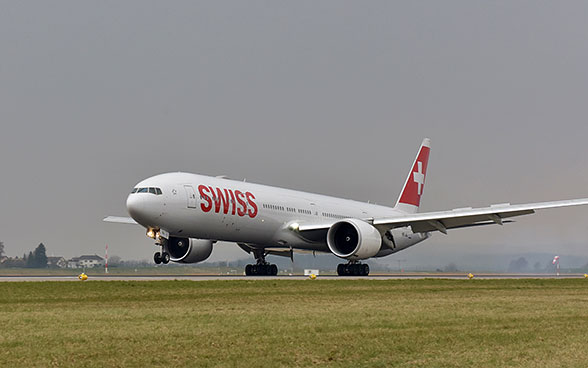 Ein Flugzeug der Swiss bei der Landung nach einem Repatriierungsflug. 