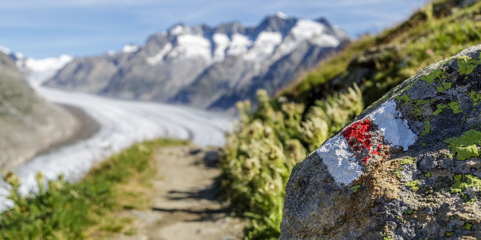 Im Bild ist ein Wanderweg im Wallis zu sehen, im Hintergrund der Aletschgletscher.