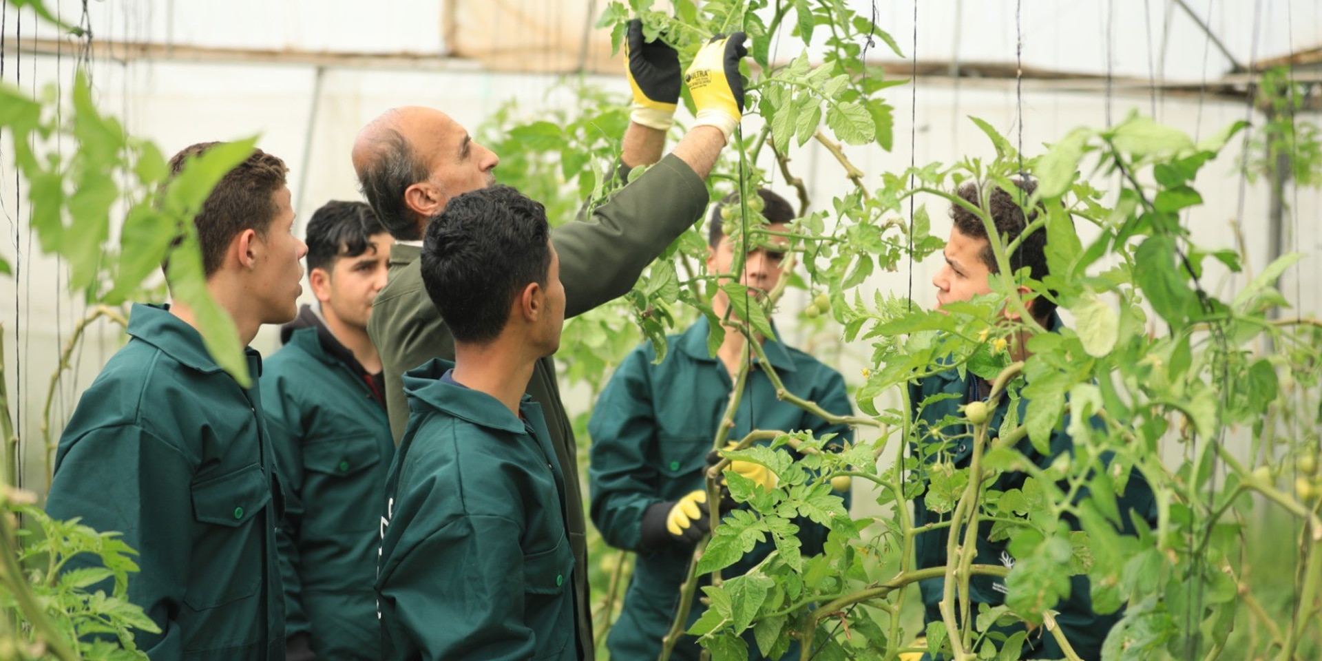 Ein Lehrer erklärt jungen Männern in einer Landwirtschaftsschule eine Pflanze. 