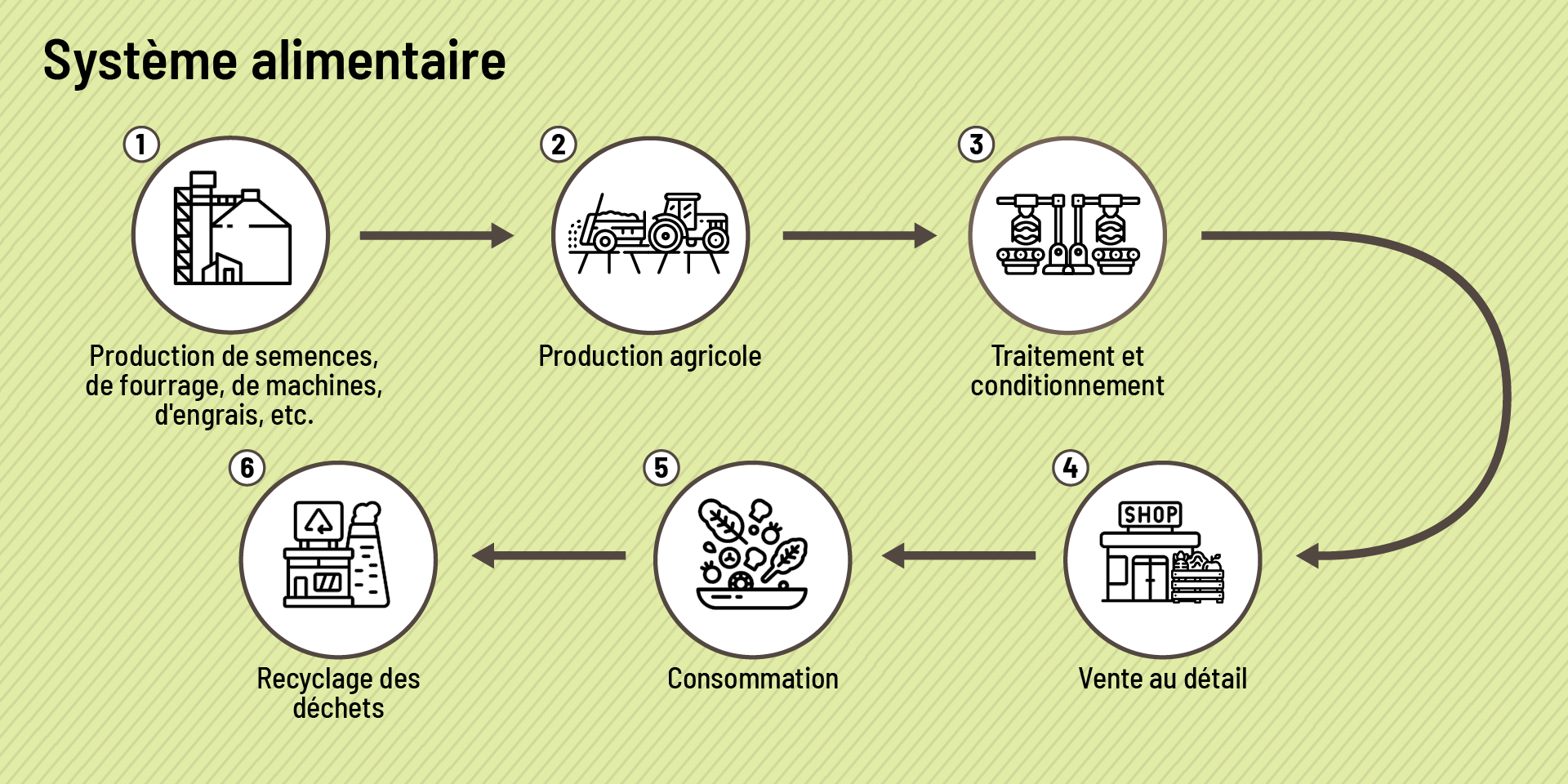 Graphique illustrant la séquence d’un système alimentaire, de la production de semences et de fourrage à la production agricole, en passant par la transformation et le conditionnement, la vente au détail, la consommation et le recyclage des déchets.