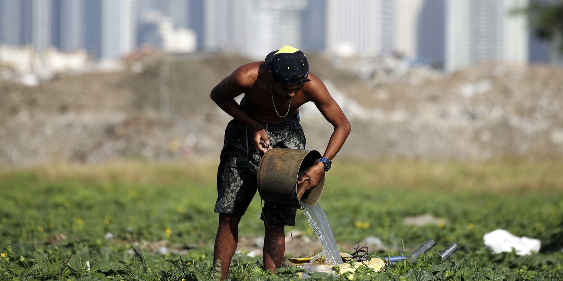 Ein Mann steht in einem Feld und giesst Wasser über die Saat. Im Hintergrund ist eine Stadt zu erkennen.