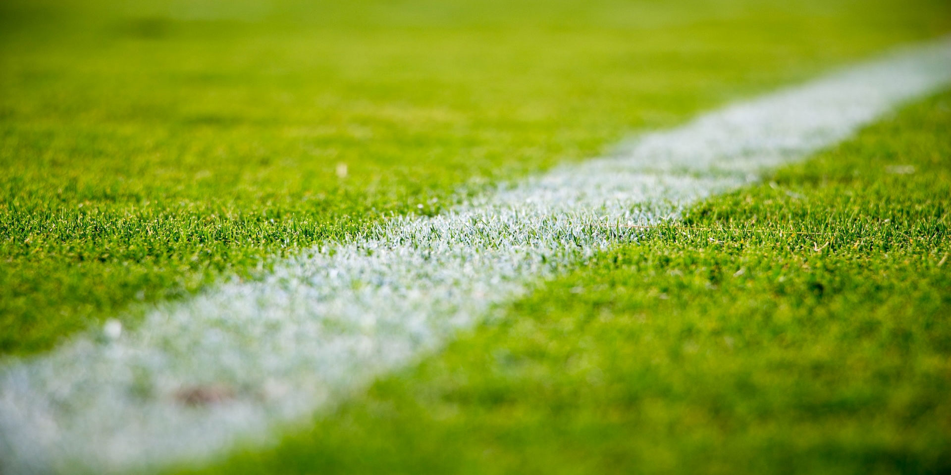 Close-up of a white line drawn on the grass of a football field. 