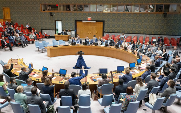The UN Security Council adopts the Swiss resolution in New York.
