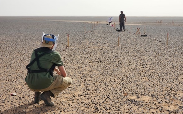 Minenräumer arbeiten auf einem Minenfeld in der Steinwüste der Westsahara .