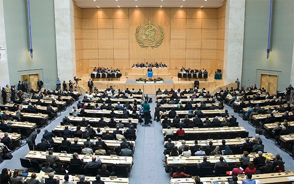 World Health Organisation assembly in Geneva