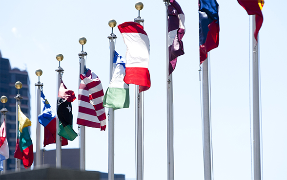 Image of member states’ flags flying in front of United Nations headquarters in New York.
