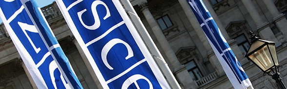 OSCE flags in Wien
