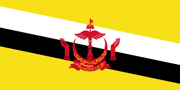 Bandiera Brunei Darussalam