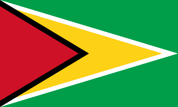 Bandiera Guyana