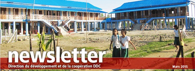 Teaser DDC Newsletter