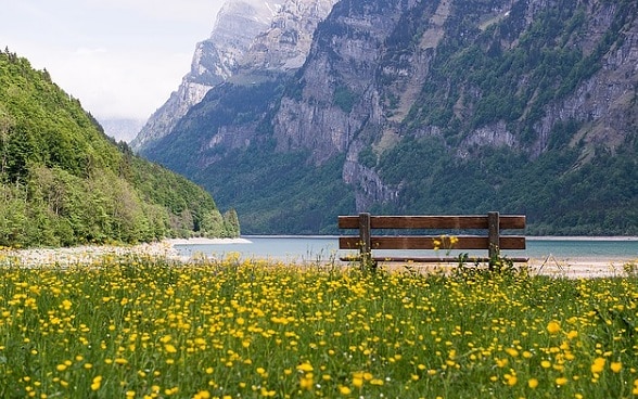 Banc sur une prairie dans les montagnes.