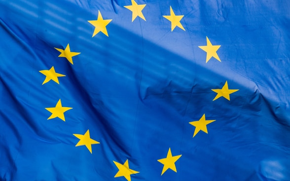 European Union flag