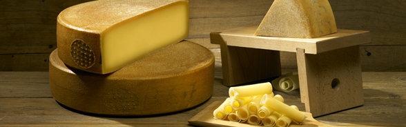 Eine Auswahl an Schweizer Käse.