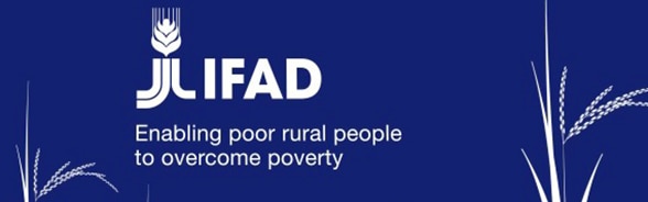 Logo IFAD