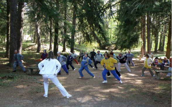 Sports group in the forest