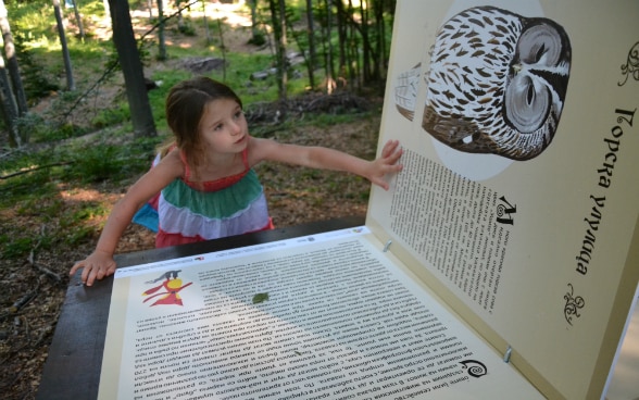 A girl looking at a book with various woodland animals.