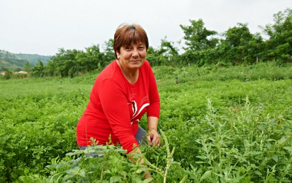 A woman in her garden