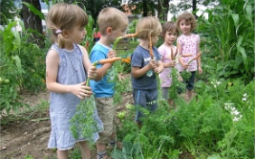 Eine Gruppe Kinder in einem Bioschulgarten in Slowenien 