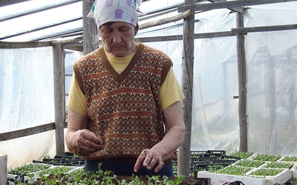 Woman farmer planting seedlings.